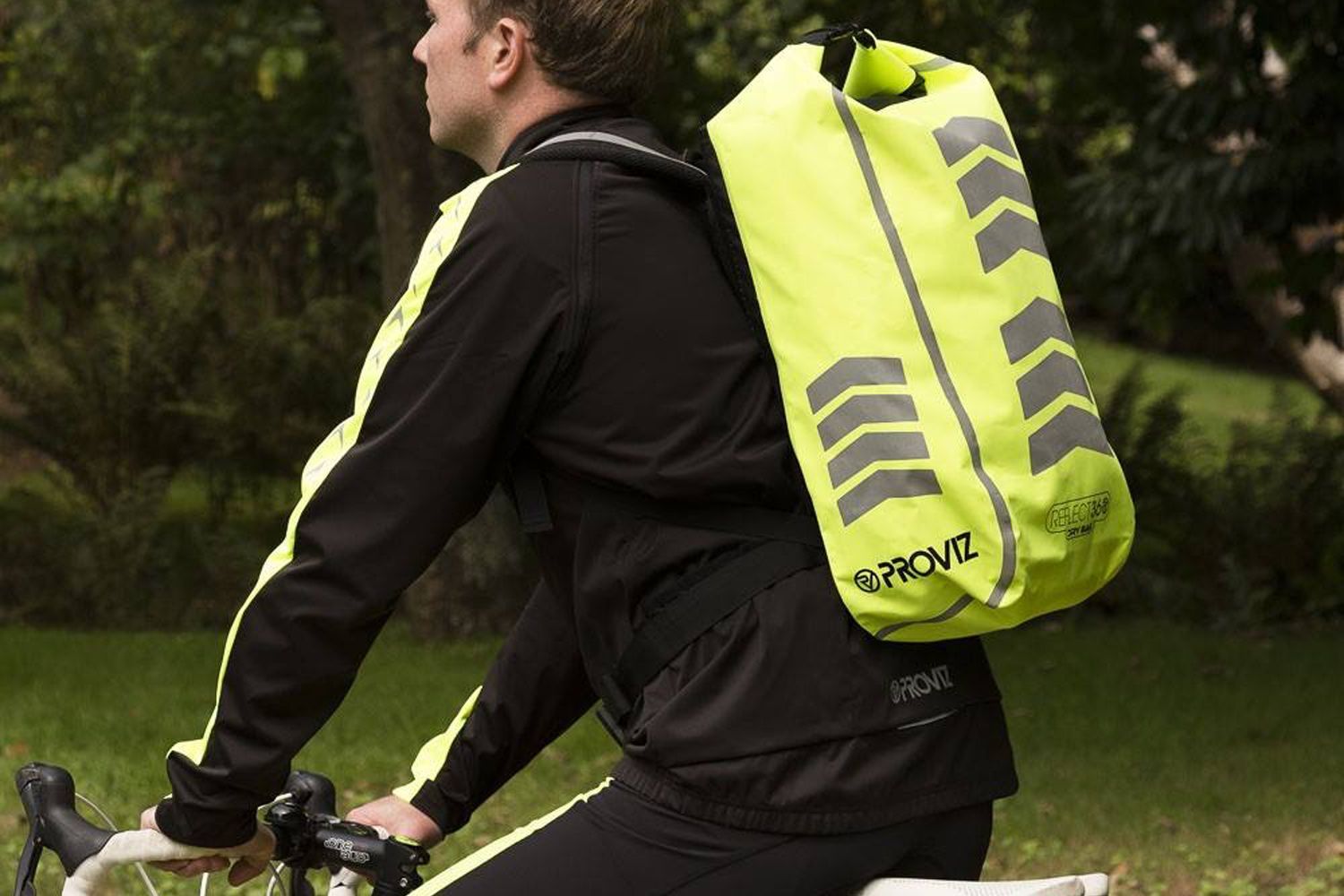 Proviz Sports hero banner